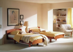 Case Study: Hall Green Nursing Home