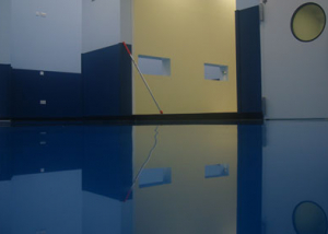 Case Study: Teva Pharmaceuticals